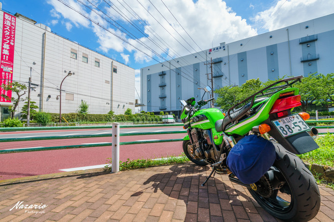 粉红猪小妹与小猪佩奇,粉红猪小妹的快乐生活