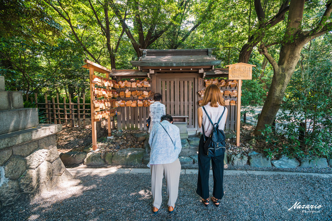 粉红猪小妹与小猪佩奇,粉红猪小妹的快乐生活