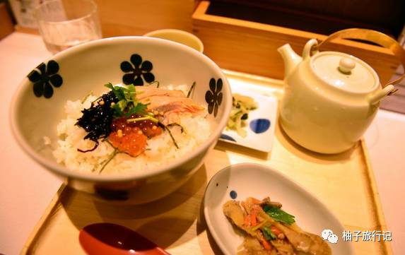 樱花旅行记全集视频,日本樱花7日游攻略大全