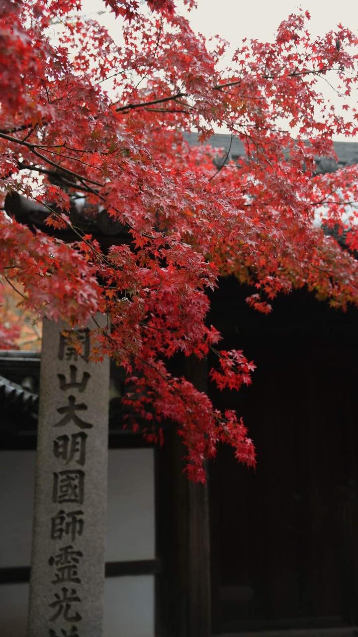 关西温泉六日游,大阪关西机场温泉