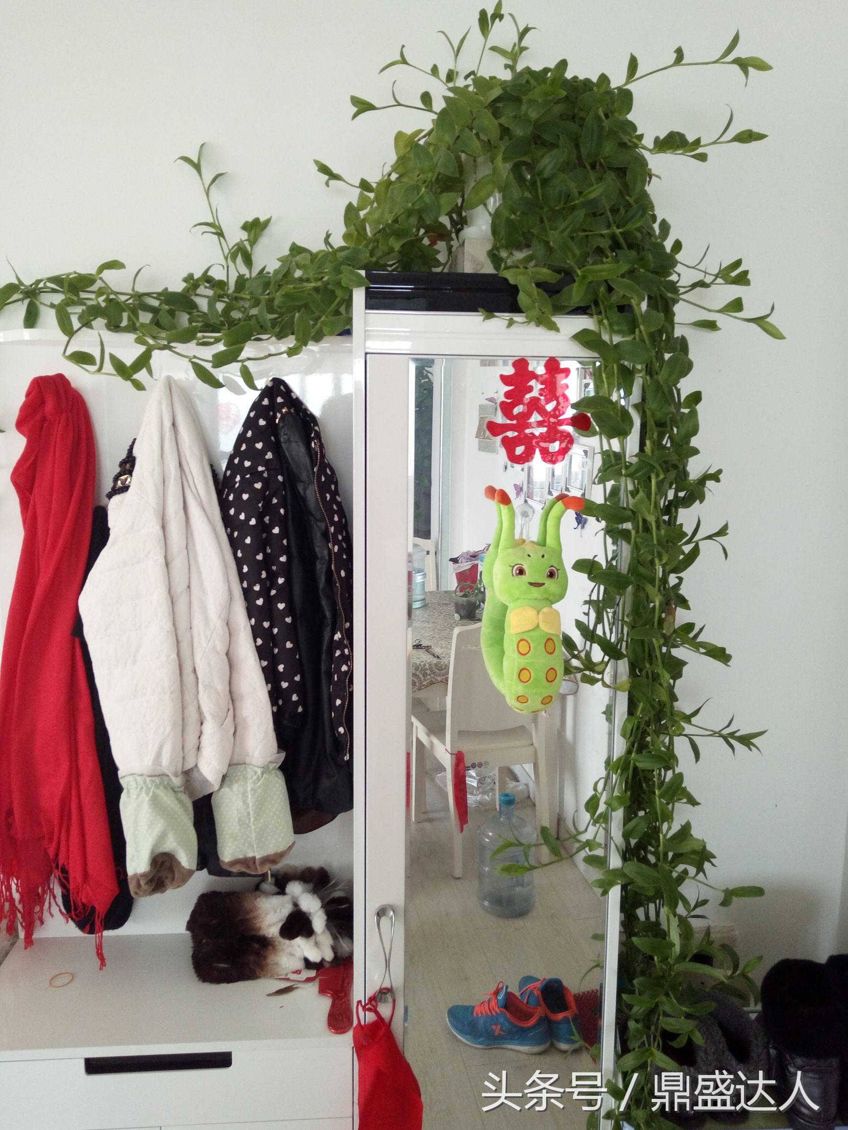 北方的冬天歌曲,北方的冬天原唱