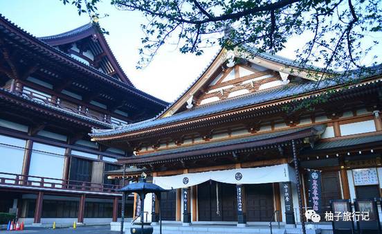 樱花旅行记全集视频,樱花季日本14天旅游攻略