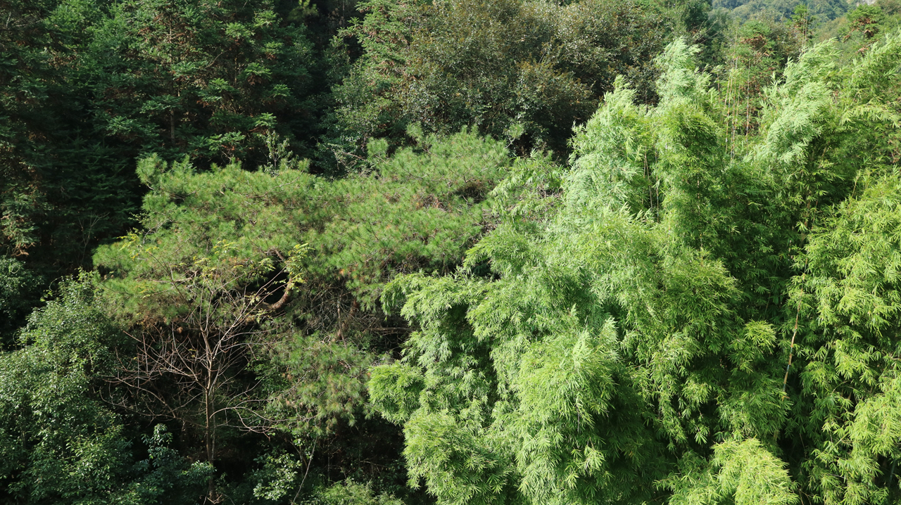 佳能微单相机推荐eosm3,eosm3