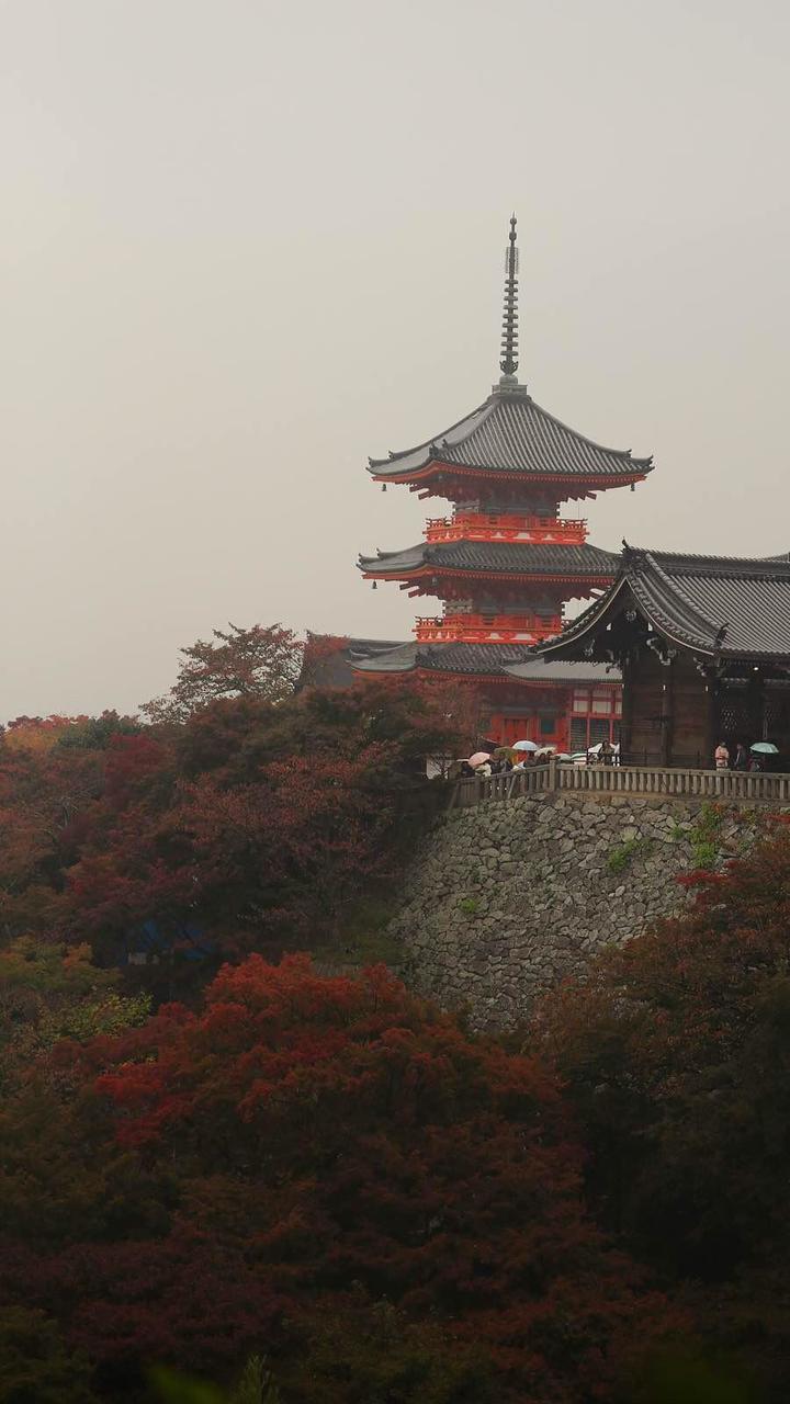 关西温泉六日游,大阪关西机场温泉