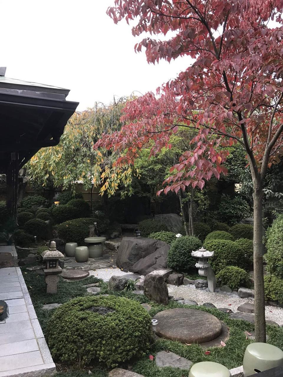 关西温泉六日游,大阪关西机场温泉