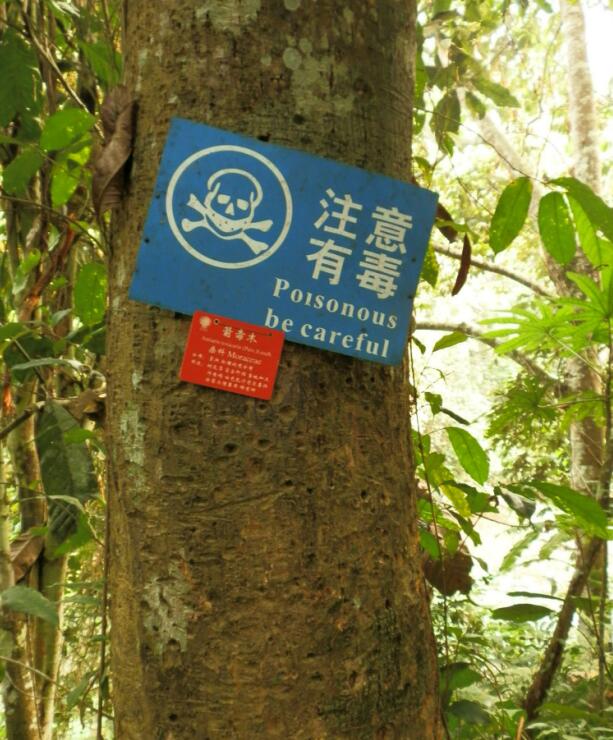 农村有什么稀奇古怪的东西,农村常见东西都有哪些