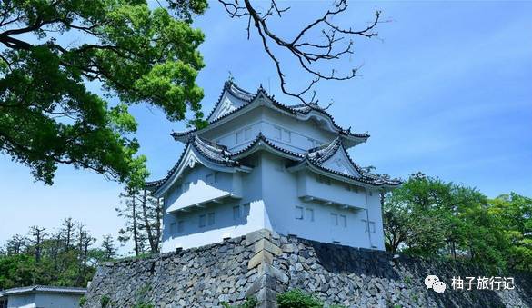 樱花旅行记全集视频,日本樱花7日游攻略大全