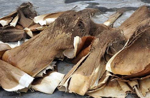 绿萝柱自己动手做就可以！不用再花那冤枉钱了~