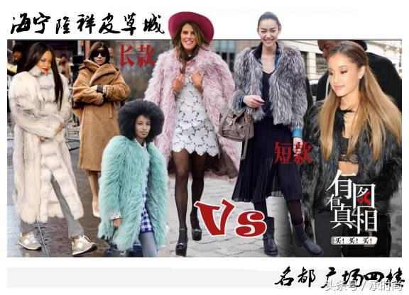 北方姑娘对貂的痴迷你不懂