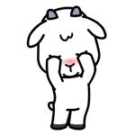 梁虹医疗美容,梁虹医美护肤品