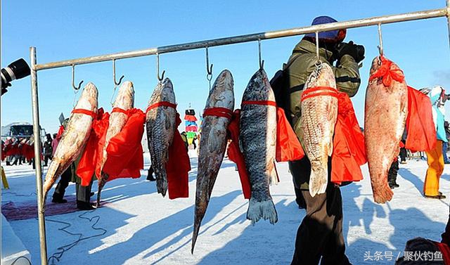 克什克腾达里湖,赤峰市克什克腾达里湖