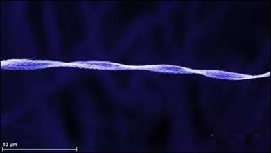 世界上最强材料,天然顶级材料