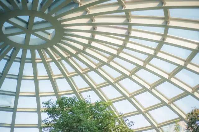 维也纳酒店圣诞节视频,维也纳国际酒店花园店