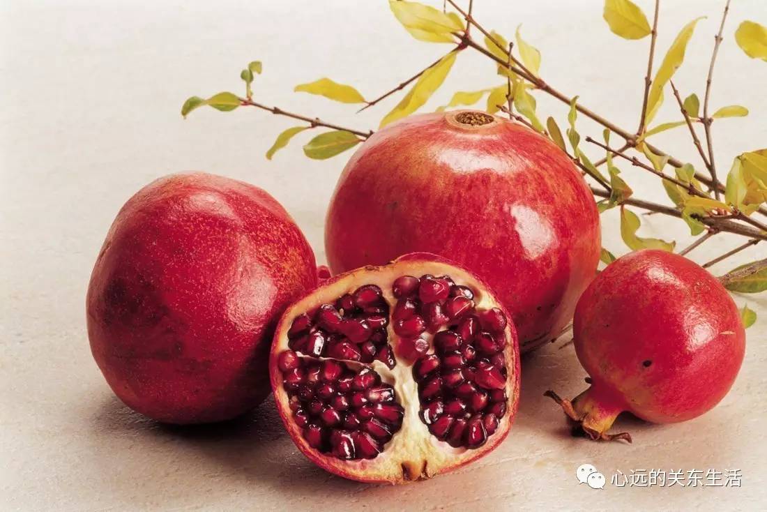 外国人在中国买买买的是这个