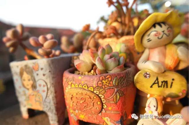 太实用了!图解多肉的配土及用药!