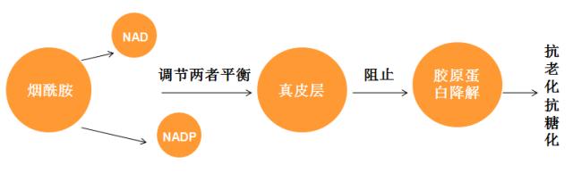烟酰胺为什么用黑瓶,烟酰胺是什么原因造成的