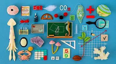 一份分类购物清单,日本购物清单图片