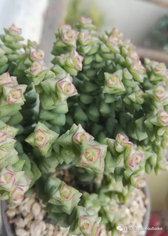 美好的时光带来快乐,美好的时光伴随着我