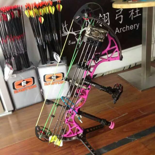 复合弓配件都叫什么,现代复合弓不加配件