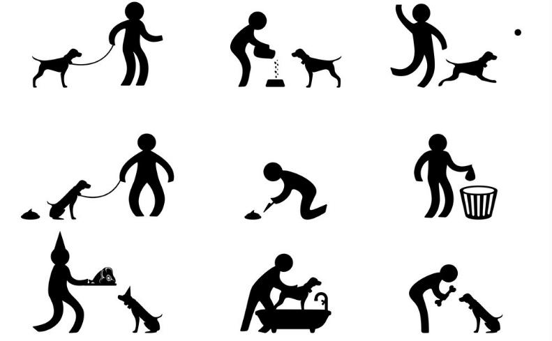 养狗前的十个忠告,养狗之前需要知道的事