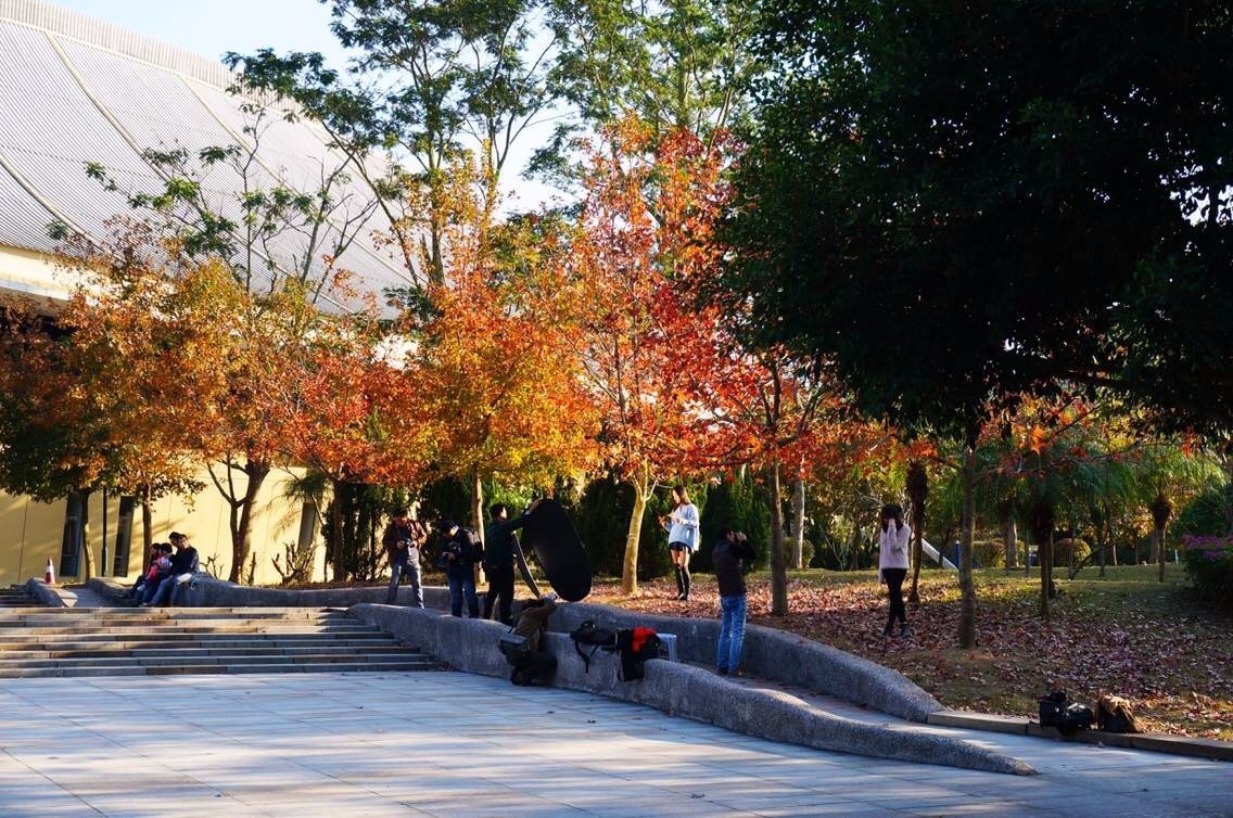 这几天千万不要来北师珠！