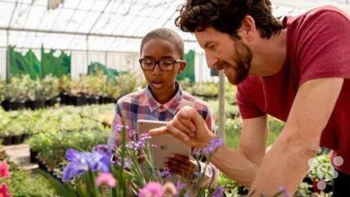 威威趣谈：安静地做个支付工具为啥这么难？