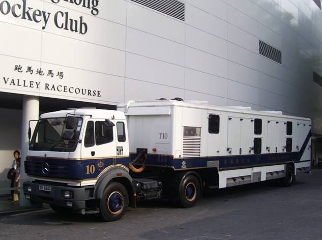 赛驹会晕车吗？如何运输？