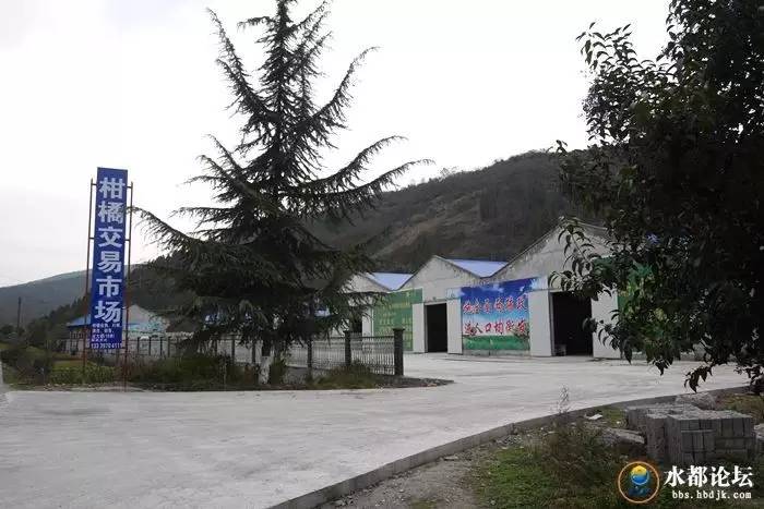 水都网友看农业感受水都新变化