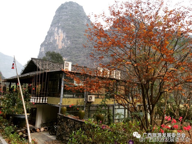 深度关注我县吹响旅游复苏新号角,广西双创示范基地