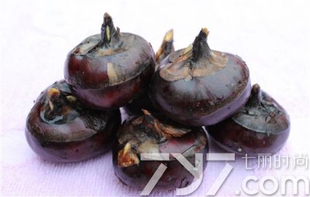 风热咳嗽的偏方大全,风热咳嗽最佳食疗法