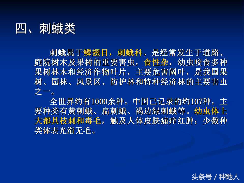 会吃叶子的虫子有哪些,哪些虫子爱吃树叶虫