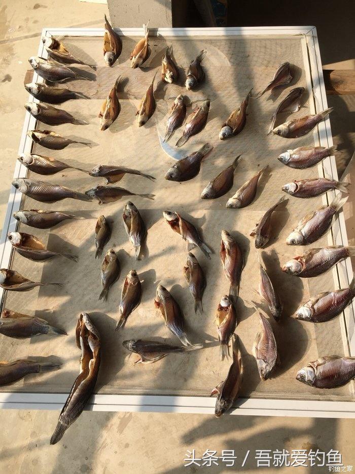 大湖冬钓鲫鱼怎么找钓点,平天湖初冬