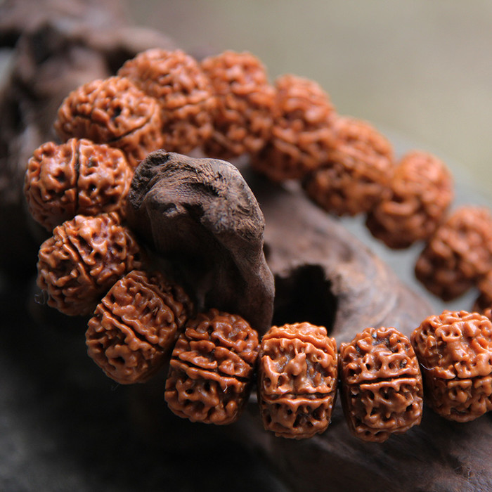 金刚菩提清理不干净怎么办,金刚菩提的果肉清理不净