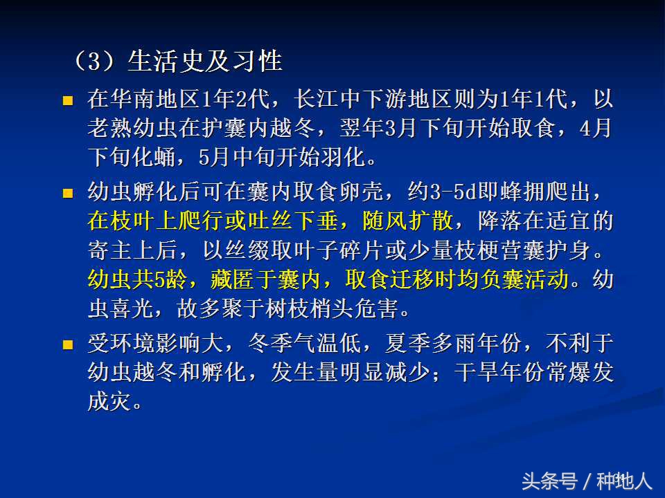 会吃叶子的虫子有哪些,哪些虫子爱吃树叶虫