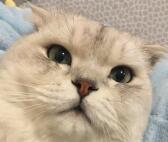 dnf90级ss武器站街效果,dnf60级ss武器排名