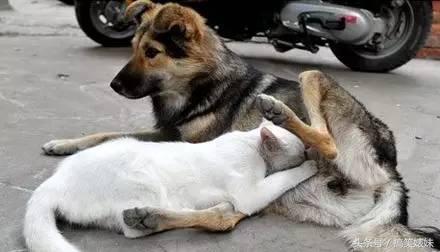 天太晚了，你要不就在这过夜吧