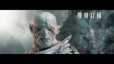 荷兰猪适宜的温度,荷兰猪夏天降温视频教学