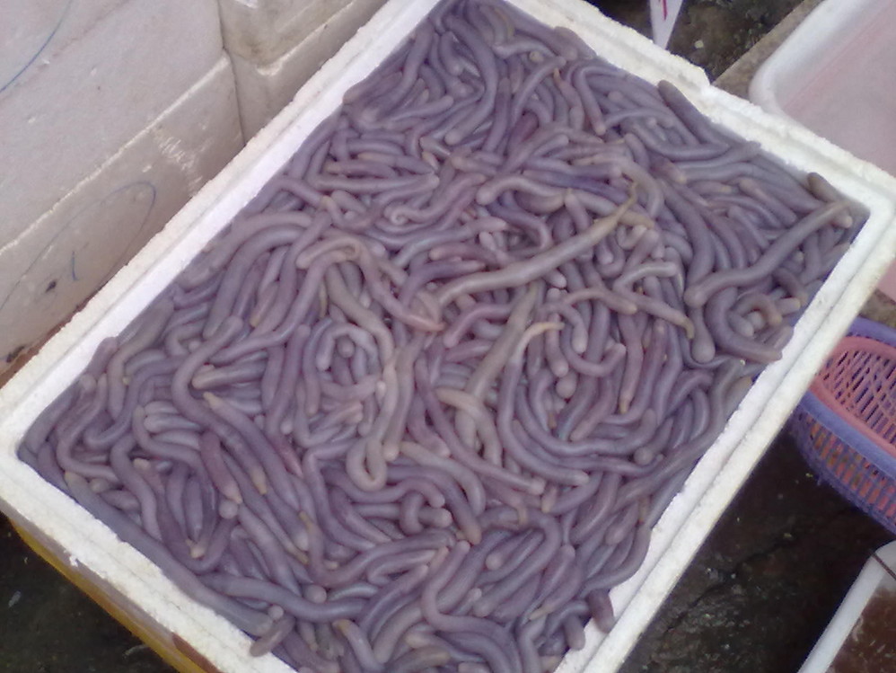 盘点中国十大奇葩美食,盘点各地的奇葩美食