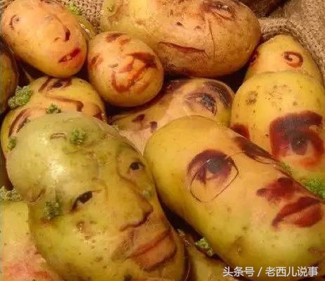 静乐土豆宴生态园,山西静乐美食