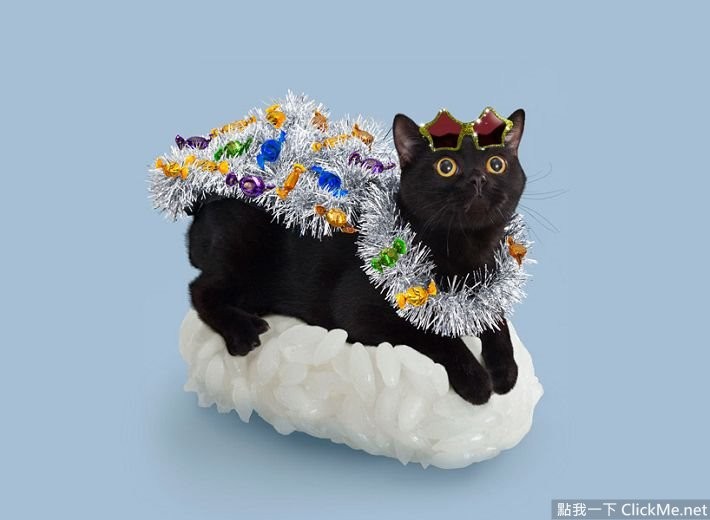 猫咪寿司店治愈短片,超可爱寿司猫咪