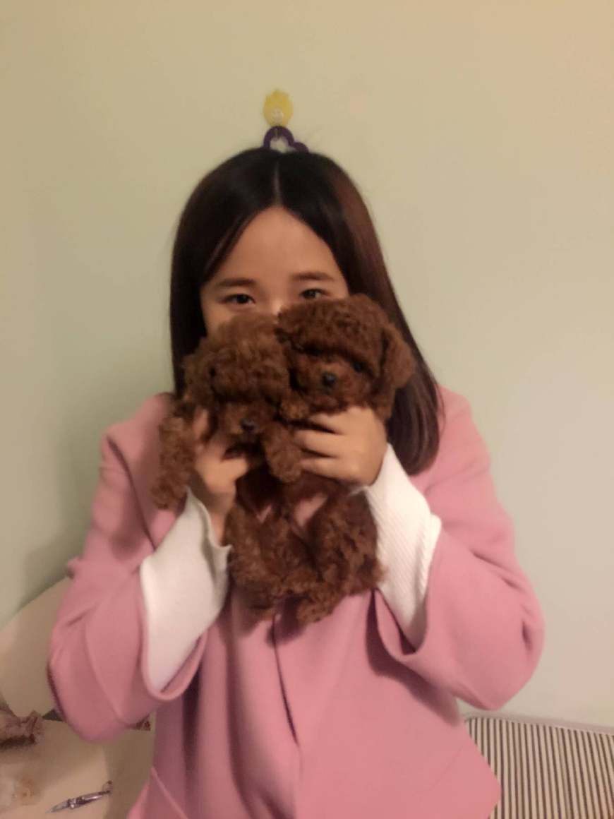 新手铲屎官如何养狗狗,铲屎官养宠进阶