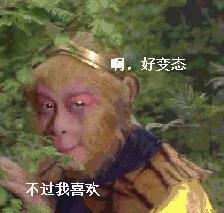 狗狗为什么会吃耳朵,狗狗为什么会吃鸡食