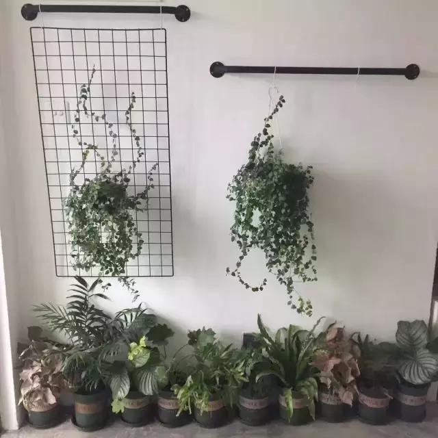 airbnb上订的民宿和房东一起住吗,airbnb十大最受欢迎住宿