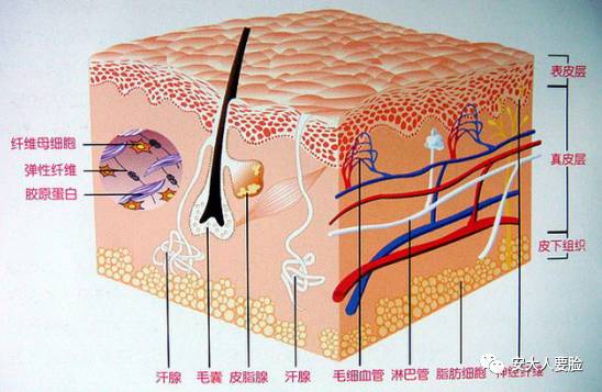 黑脸娃娃收缩毛孔,收缩毛孔黑脸娃娃
