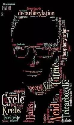 他被纳粹*害迫**,“玩拼图”玩出诺贝尔奖,打脸《Nature》