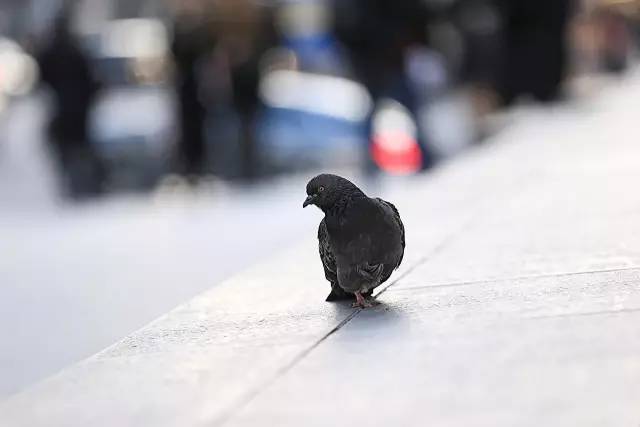 我在首尔摔了一跤,可还是要保持微笑啊——一哥的旅行笔记