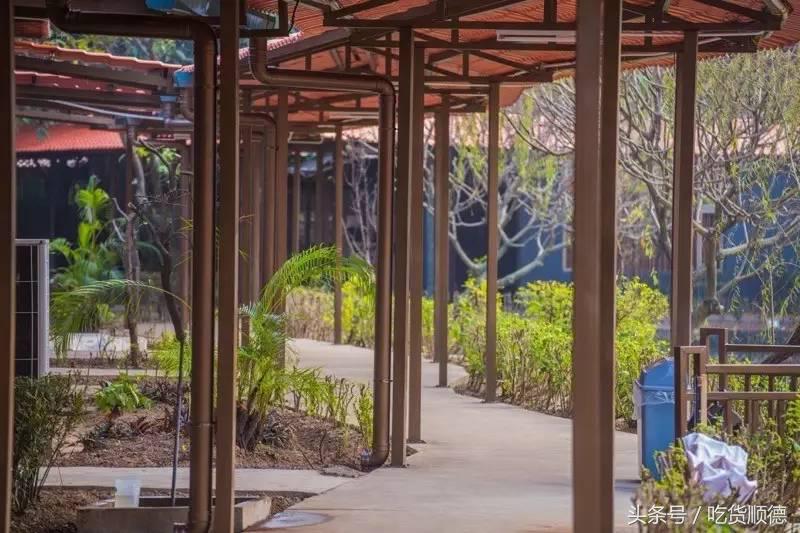 陪伴均安人十几年酒楼全面升级,全新创意茶点,大良都要过去饮茶