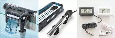 30cm海缸开缸教程新手入门,新手开缸养鱼入缸的正确方法