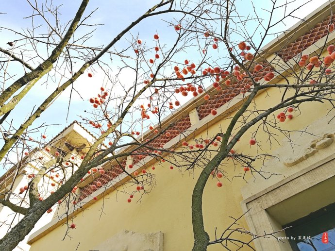 青岛哪里可以泡冰水浴,青岛什么地方可以泡温泉泡澡