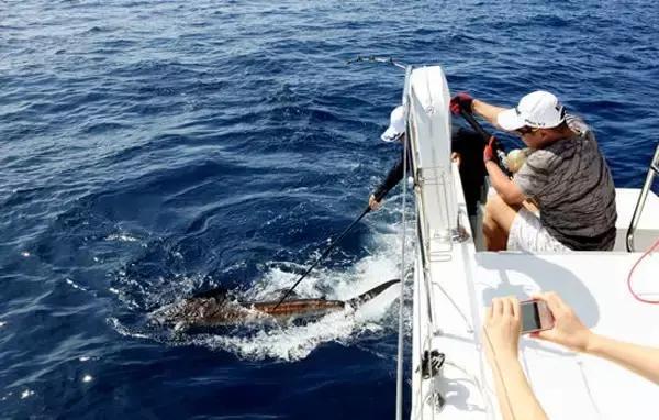 免签出境游推荐,春节海外免签旅游推荐